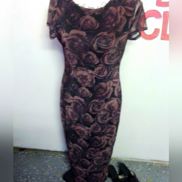 Y2K Whimsigoth Sheer Dress - Picture 1 of 12